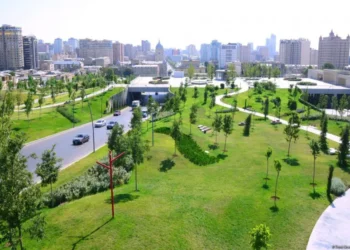 Azərbaycanda “uçan pələnglər” yayıla bilər – Əhali narahatdır