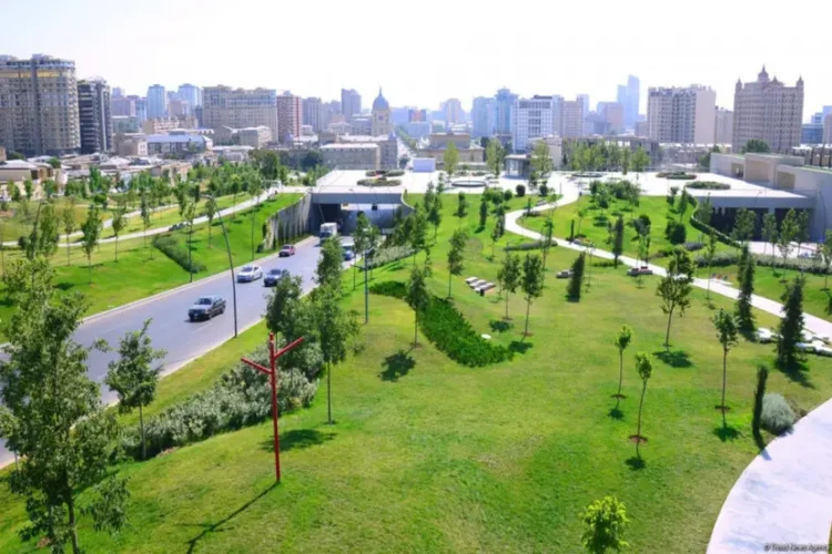 Azərbaycanda “uçan pələnglər” yayıla bilər – Əhali narahatdır