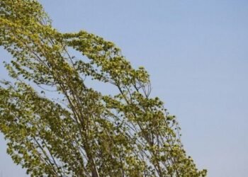 Bakıda küləkli hava nə vaxta kimi davam edəcək?