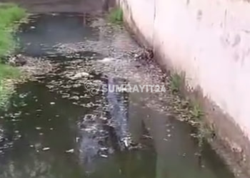 Sumqayıtın işlək küçəsində narahatedici mənzərə