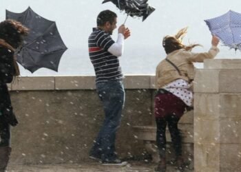 Küləkli hava şəraiti ilə bağlı sarı xəbərdarlıq