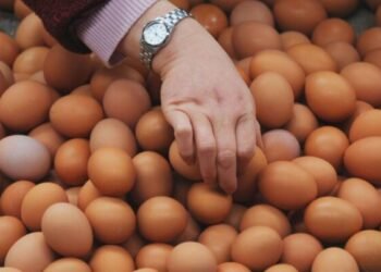 Yumurtanın ucuzlaşmasının səbəbi bilindi – Bəs digər məhsulların qiyməti necə olacaq?