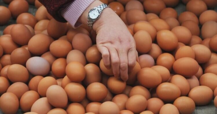 Yumurtanın ucuzlaşmasının səbəbi bilindi – Bəs digər məhsulların qiyməti necə olacaq?