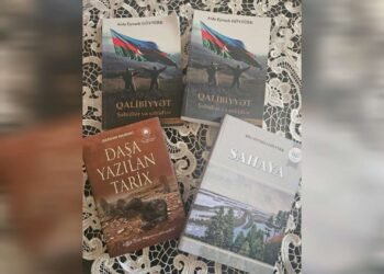 Aida Eyvazlı Göytürkün kitabları Almaniyanın XVI əsr kitabxanasında