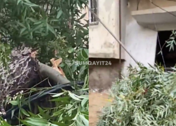 Sumqayıtda ağacın budağı qaz borusunun üstünə aşdı