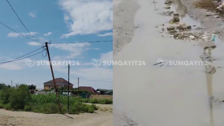 Sarayda saydıqca bitməyən ŞİKAYƏTLƏR