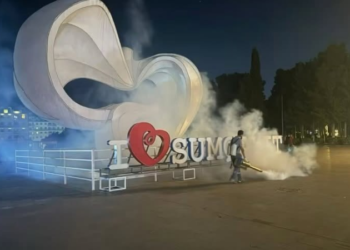 Sumqayıtda həşəratlara qarşı mübarizə davam edir
