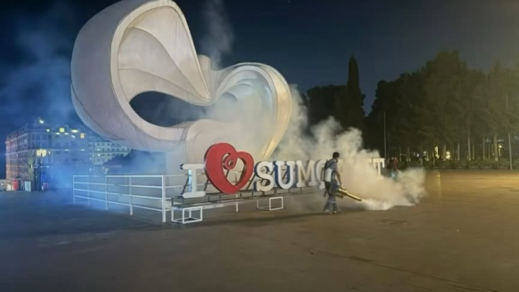 Sumqayıtda həşəratlara qarşı mübarizə davam edir
