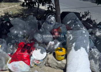 Ağac dibini zibil qabı kimi istifadə edən Sumqayıt sakinləri