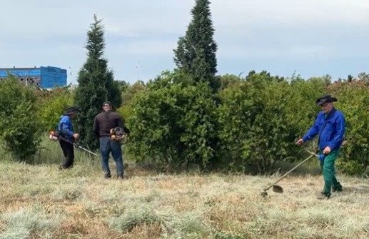 Sumqayıtda iməcilik işləri aparılıb