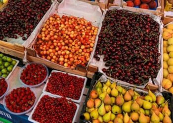 Bu yay meyvə niyə bahadır – Qiymətlər nə vaxt enəcək?