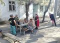 Sumqayıtın 18-ci məhəlləsində sakinlərin narazılığı: Həşəratlar evlərə hücum edir, uşaqları dişləyir-VİDEO