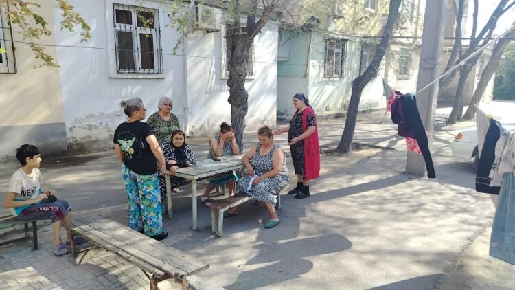 Sumqayıtın 18-ci məhəlləsində sakinlərin narazılığı: Həşəratlar evlərə hücum edir, uşaqları dişləyir-VİDEO