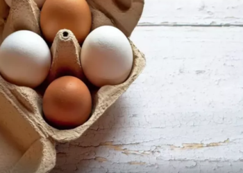 Hər gün yumurta yeməyin təhlükəsi: alimlər nə tapdılar?