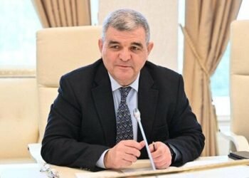 Fazil Mustafa: “Azərbaycanın Türkiyə üçün etdiyi fədakarlıq qardaşa edilən fədakarlıq idi”