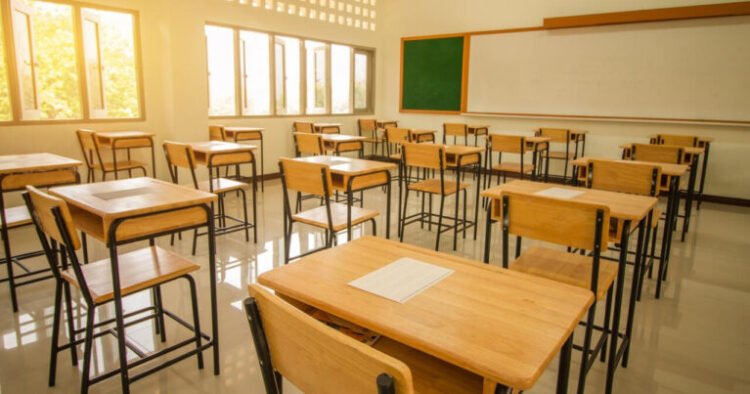 Universitet, yoxsa ixtisas? – Düzgün seçimin sirri