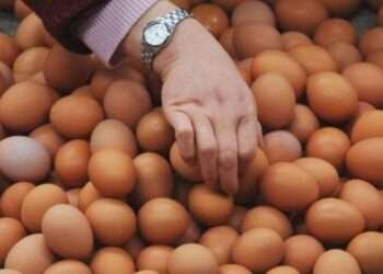 Sumqayıtda yumurta qıtlığı: Qiymət bahalaşacaq, yoxsa? – VACİB AÇIQLAMA