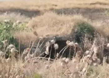 Xocavənddə yeni tarixi abidə aşkar edildi
