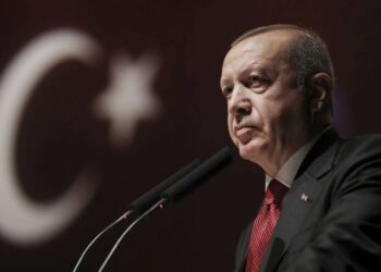 Ərdoğan Zelenskiyə xəbərdarlıq etdi
