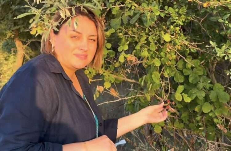 Məmurlar talayanda olar, biz yeyəndə yox? – Aparıcıdan istehzalı reaksiya – VİDEO