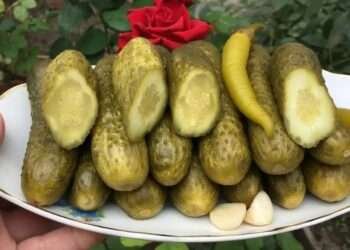 Xiyar turşusundan milçək çıxdı: AQTA araşdırmaya başladı