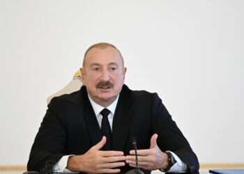 “Həmin dövlətlər məsələni həll etmək yox, uzatmaq istəyirdi”