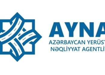 AYNA tıxaca görə günahı onlarda görür – CAVAB