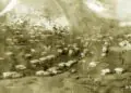 Qərbi Azərbaycanın tarixi yurdu – Aldərə kəndi
