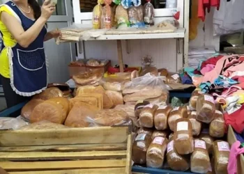 Küçədə satılan bu qidaları ALMAYIN: Ekspertdən xəbərdarlıq