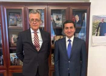 Hikmət Hacıyev Dirk Lölke ilə müzakirə apardı