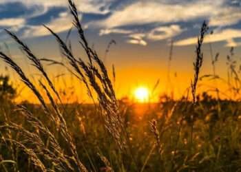 Havalar YENİDƏN İSİNİR: Sabah temperatur neçə olacaq?