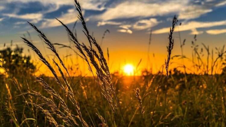 Havalar YENİDƏN İSİNİR: Sabah temperatur neçə olacaq?