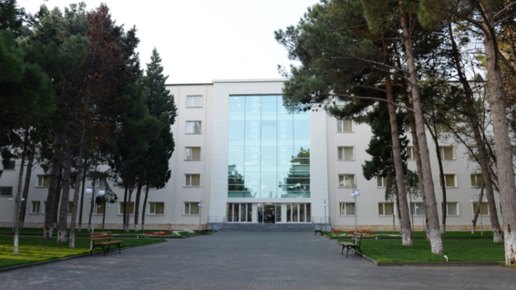 Sumqayıtın poliklinikasında növbə xaosu