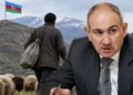 Paşinyan azərbaycanlı çobandan danışdı