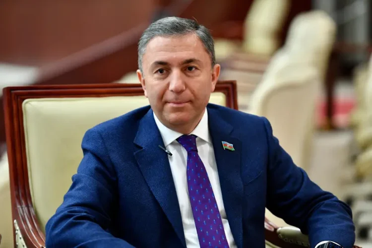 Azərbaycanda yeni inistitut yaradıla bilər – TƏKLİF