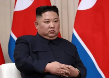 Kim Çen İnın beyin qanaması keçirdiyi və komada olduğu iddia edilir