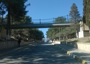 “Nəsimi” parkında “it ovçuları” peyda olub? – FOTO