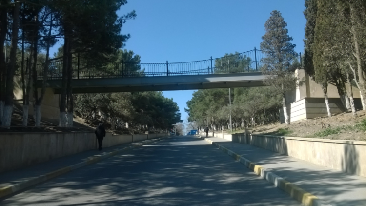 “Nəsimi” parkında “it ovçuları” peyda olub? – FOTO
