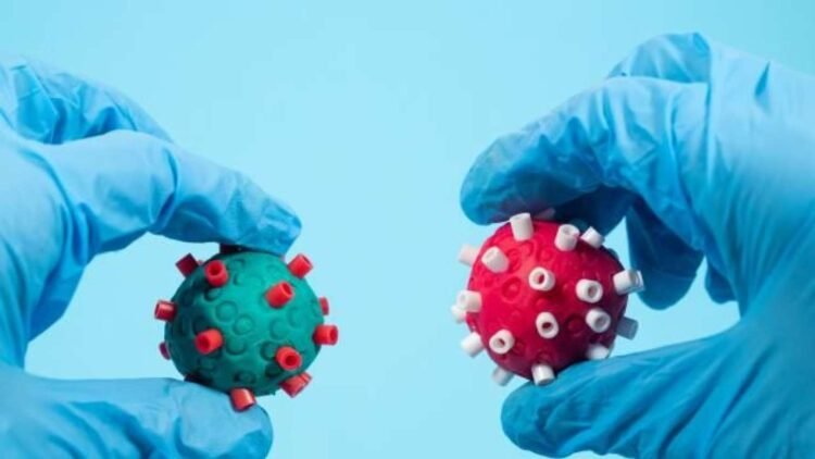 Təhlükəli virus şimala doğru yayılır, 130 nəfər ölüb – Avropada HƏYƏCAN