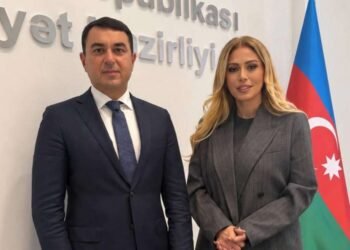 Roza Zərgərli Mədəniyyət naziri ilə görüşdü – FOTO