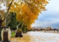 Oktyabrda yay istisi: Azərbaycanda bizi nə gözləyir?