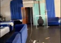 Kiyevə RAKET HÜCUMU: Azərbaycan restoranı dağıldı, xəsarətlər var