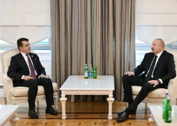 Prezident ICESCO-nun Baş direktorunu qəbul etdi