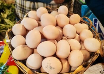 Kənd yumurtasının qiyməti 40 qəpiyə çatdı: “Daha da bahalaşacaq”