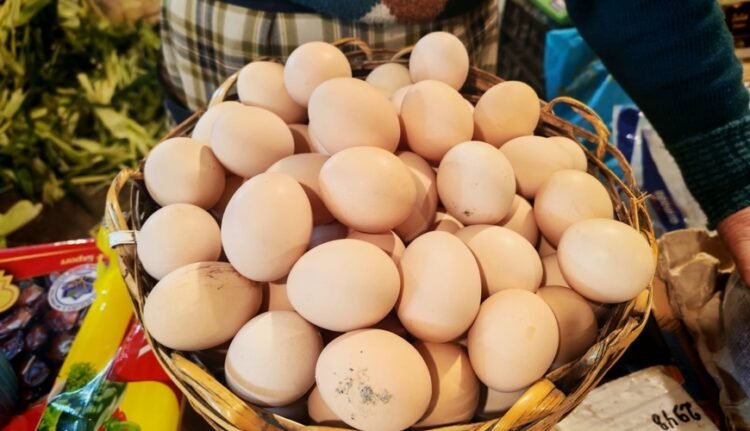 Kənd yumurtasının qiyməti 40 qəpiyə çatdı: “Daha da bahalaşacaq”