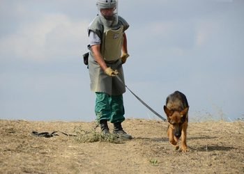 Minatəmizləyənlərin Yaxınlarına VERGİ GÜZƏŞTİ Olacaq