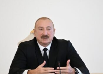 Bu faciə ilə üzləşmiş ailələrə hərtərəfli dəstək göstəriləcək – Prezident